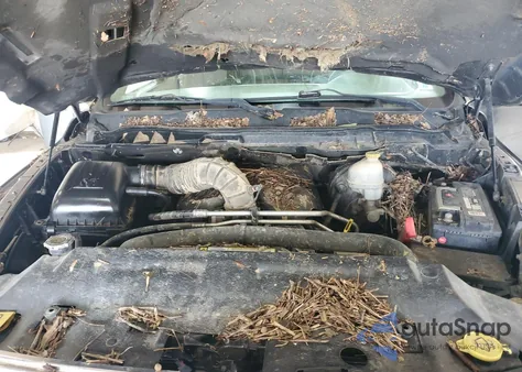 2010 Dodge Ram 1500 from USA, damaged, VIN 1D7RV1GT7AS199218